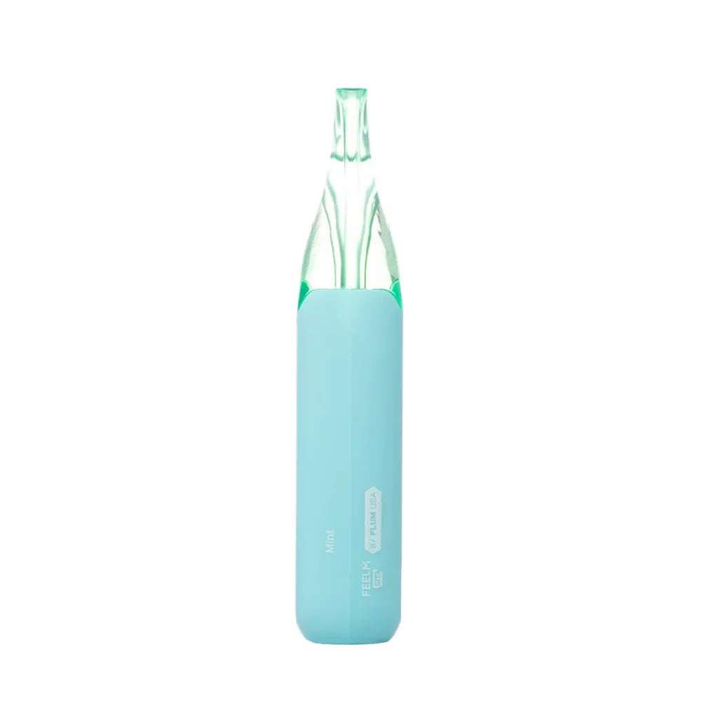 MINT FLUM FLOAT X 10K